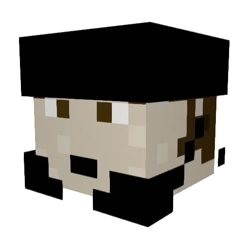 Theguyoverhere Minecraft avatar head, 3D render