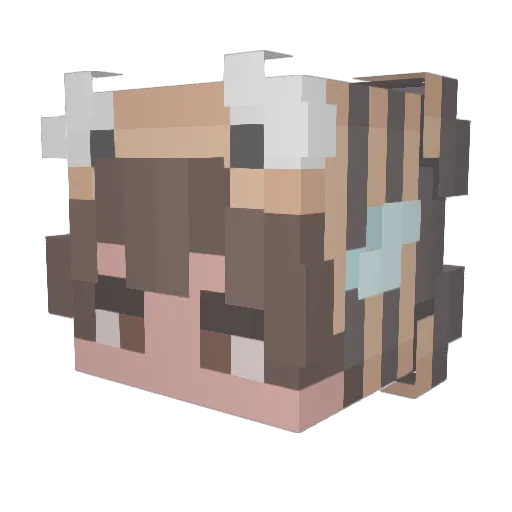 Theherpingkid1 Minecraft avatar head, 3D render