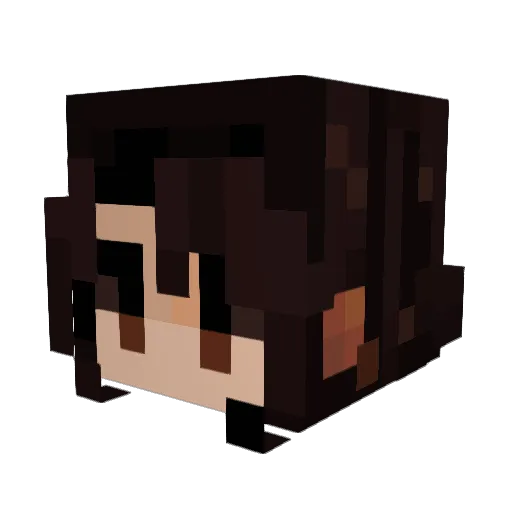 Thehumanmushroom Minecraft avatar head, 3D render