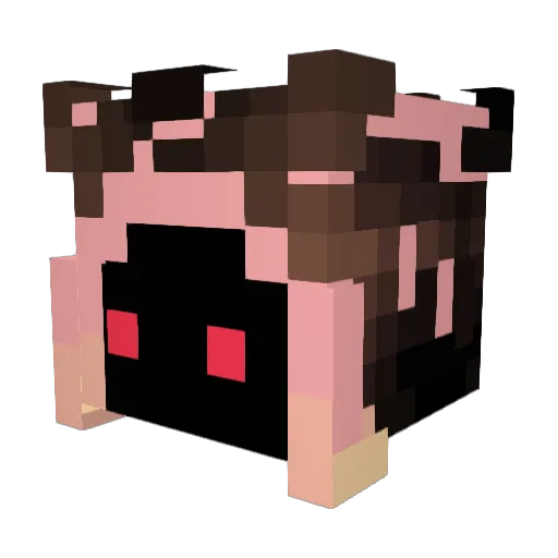Thehunter222333 Minecraft avatar head, 3D render