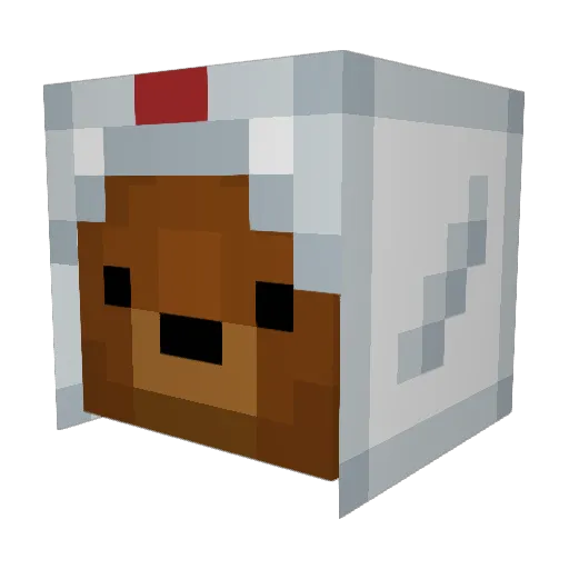 Their__Stupidity Minecraft avatar head, 3D render