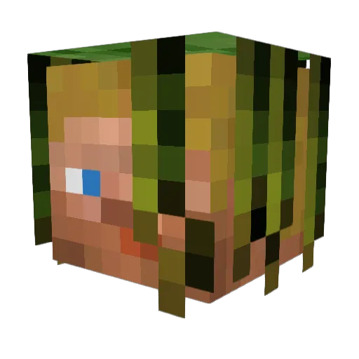 Theirillusion Minecraft avatar head, 3D render