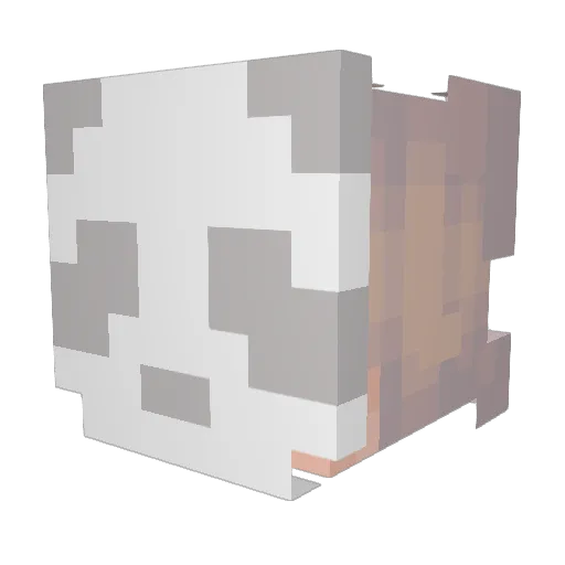 Thejayday Minecraft avatar head, 3D render