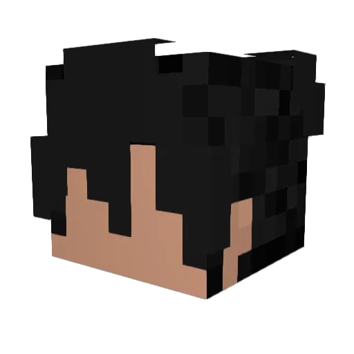 Thejhoow Minecraft avatar head, 3D render