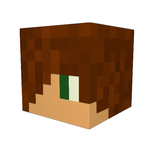 Thejonnycrafter Minecraft avatar head, 3D render