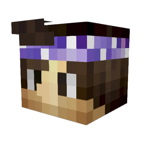Thekillerbot13 Minecraft avatar head, 3D render