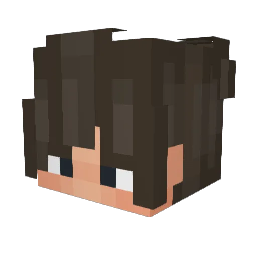 Thekingdruped Minecraft avatar head, 3D render