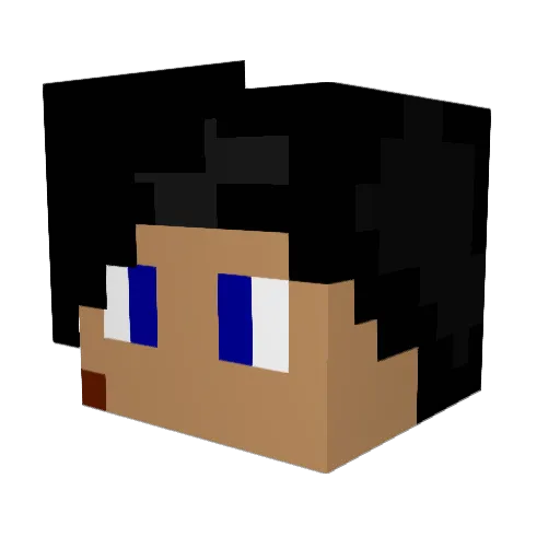 Thekingofwar541 Minecraft avatar head, 3D render