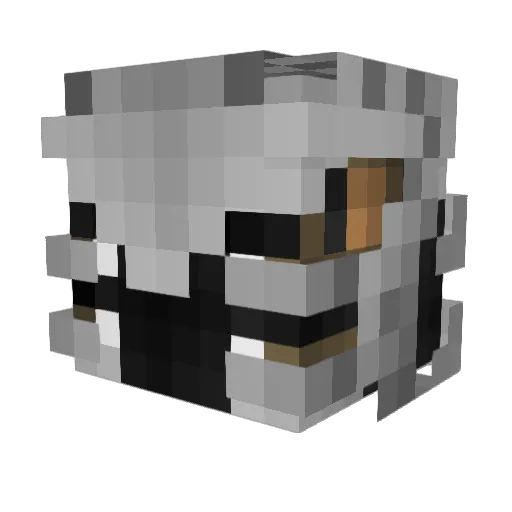 ThelVadaam1 Minecraft avatar head, 3D render