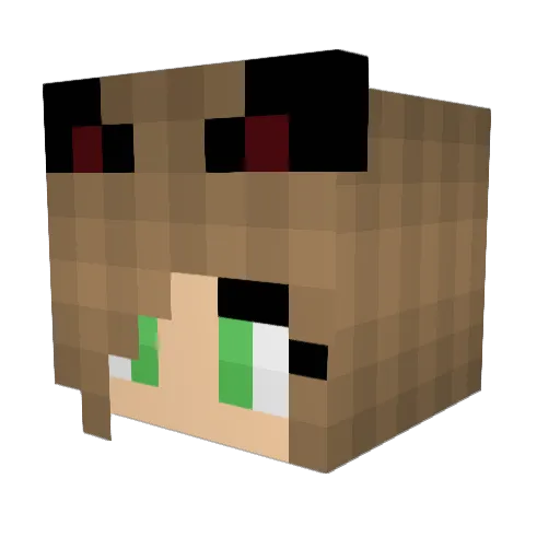 Theleader12 Minecraft avatar head, 3D render