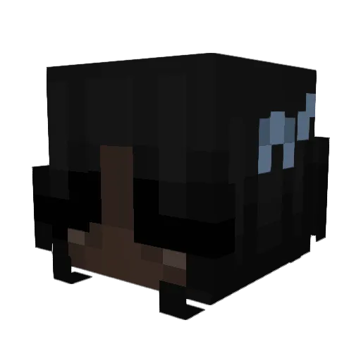 Thelilwitch Minecraft avatar head, 3D render
