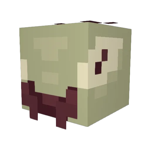 Thelizzard5143 Minecraft avatar head, 3D render