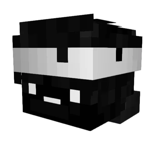 Thelostkids Minecraft avatar head, 3D render