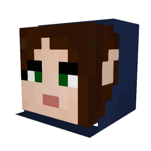 Thelpusa Minecraft avatar head, 3D render