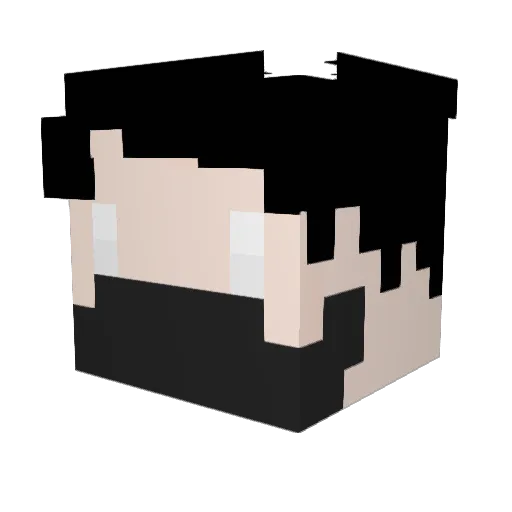 ThelrishPirate Minecraft avatar head, 3D render