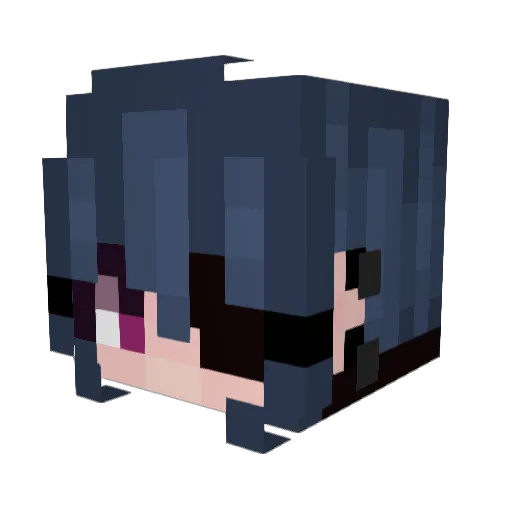 ThemFoxes Minecraft avatar head, 3D render