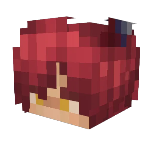 Themaster252006 Minecraft avatar head, 3D render