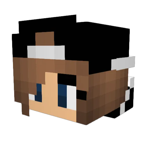 Themidaa Minecraft avatar head, 3D render