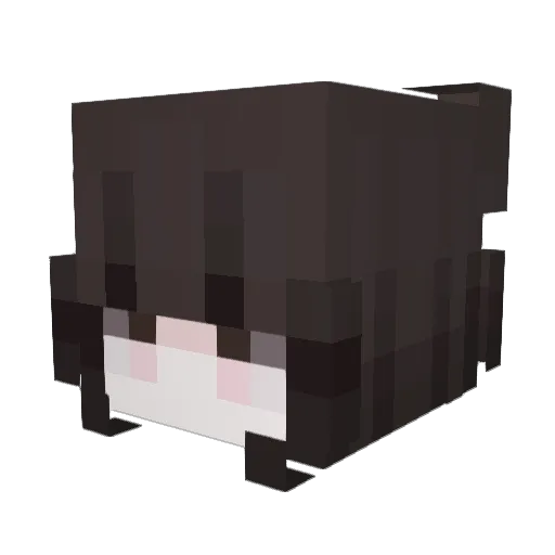 Themindoflucee Minecraft avatar head, 3D render