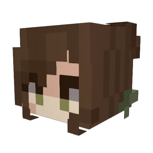 Thenewrules Minecraft avatar head, 3D render