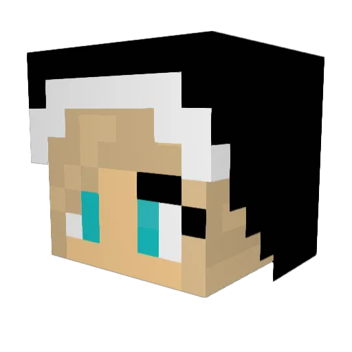 Thenext1190 Minecraft avatar head, 3D render