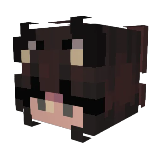 Theo2007_ Minecraft avatar head, 3D render