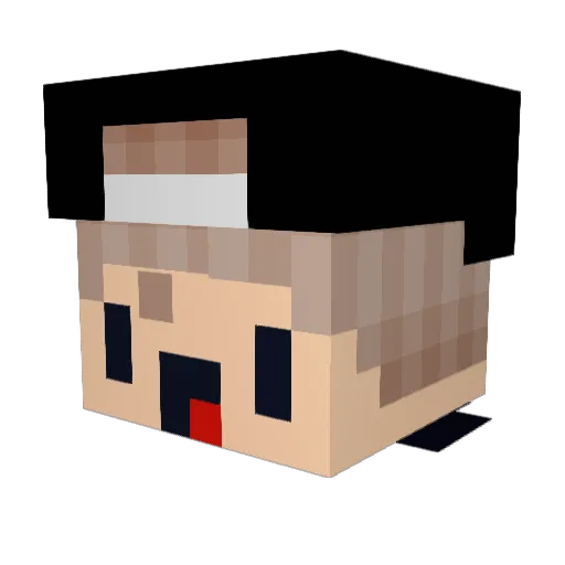 Theo2102 Minecraft avatar head, 3D render