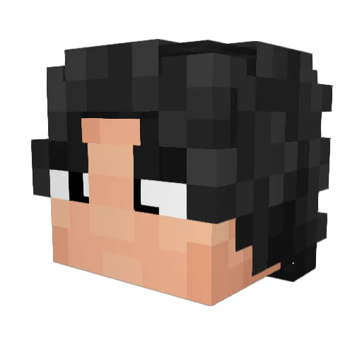 TheoG9565 Minecraft avatar head, 3D render