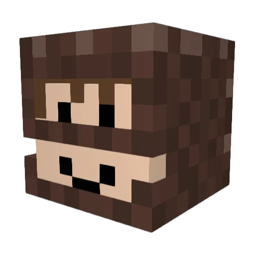 TheoGR16 Minecraft avatar head, 3D render