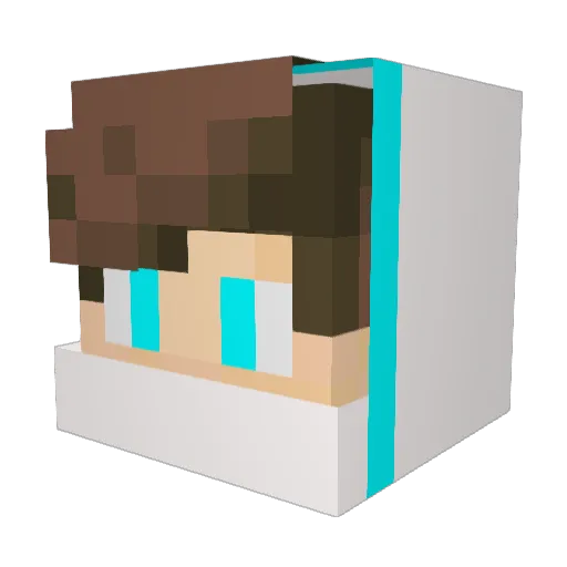 TheoGallo2020 Minecraft avatar head, 3D render
