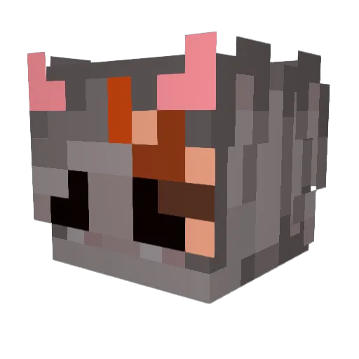 TheoIsCool007 Minecraft avatar head, 3D render