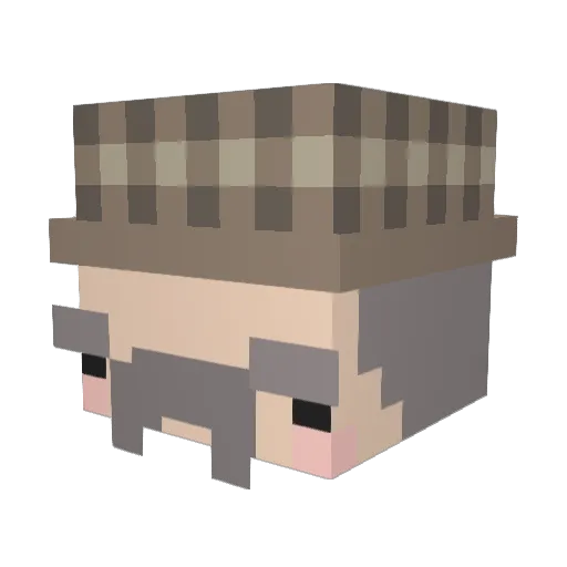 Theo_Noob Minecraft avatar head, 3D render