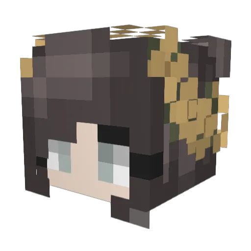 Theo_TM Minecraft avatar head, 3D render