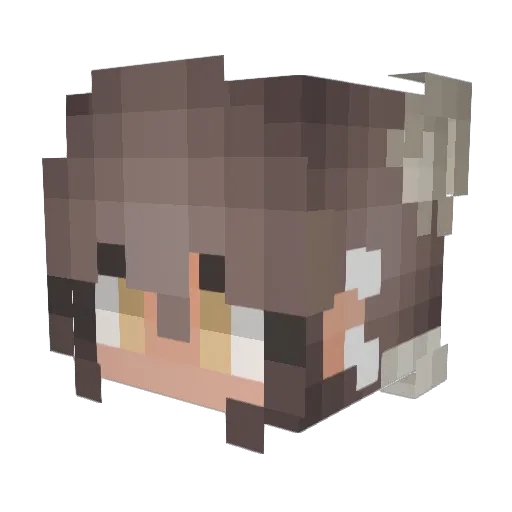 TheodorM2001 Minecraft avatar head, 3D render