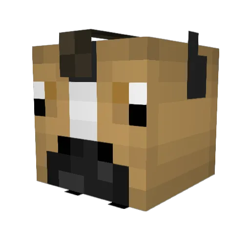 TheodorPH16 Minecraft avatar head, 3D render