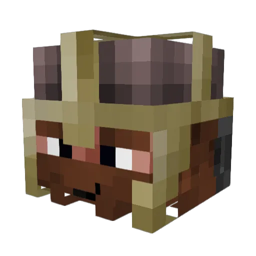 Theodore192005 Minecraft avatar head, 3D render