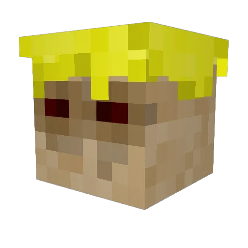 Theorie2 Minecraft avatar head, 3D render