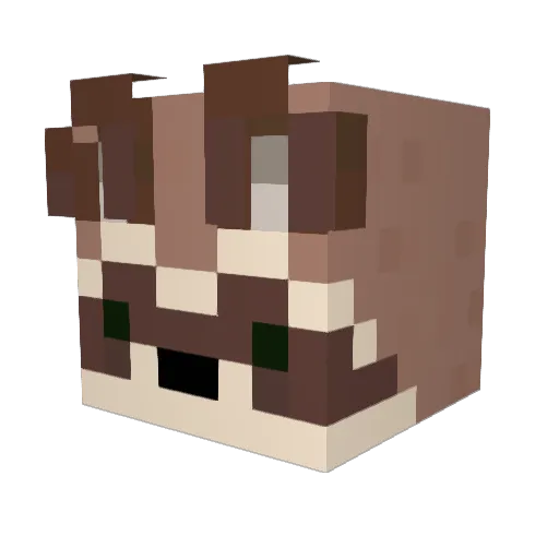 Theory_0 Minecraft avatar head, 3D render