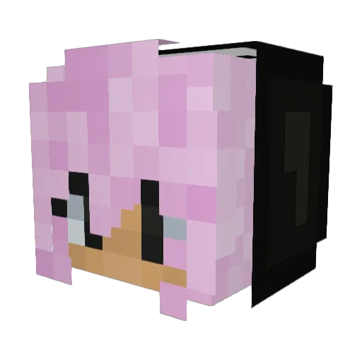 Thepurplepenguin Minecraft avatar head, 3D render
