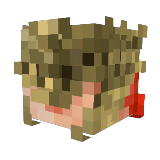 TherXs Minecraft avatar head, 3D render