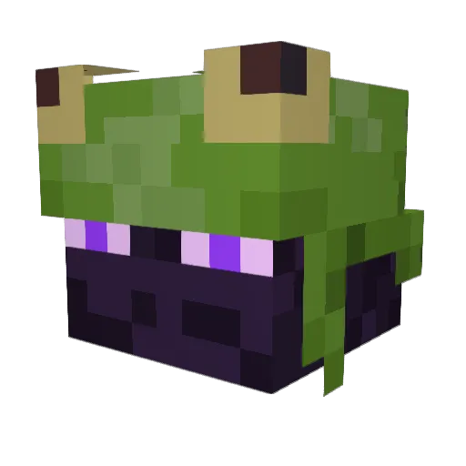 ThereWasDarwin Minecraft avatar head, 3D render