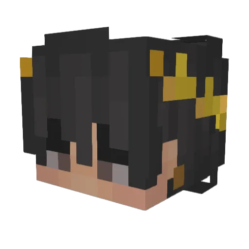 TherealDanch Minecraft avatar head, 3D render