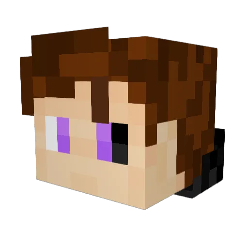 TherealFBR Minecraft avatar head, 3D render