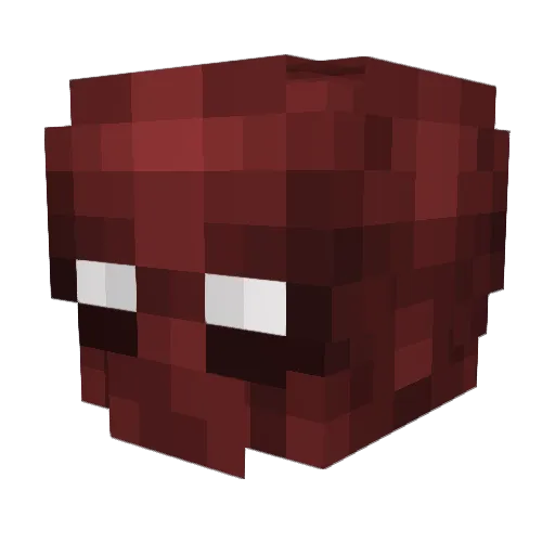 Thereal_coji Minecraft avatar head, 3D render