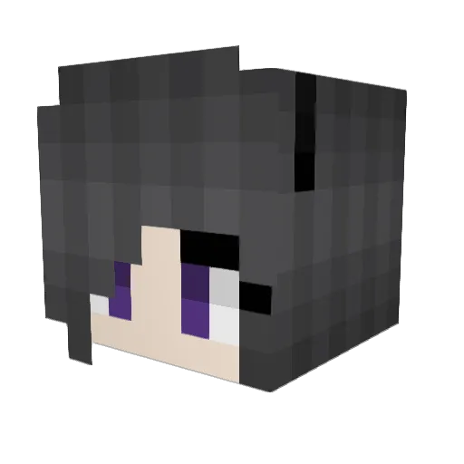 Therecxani Minecraft avatar head, 3D render