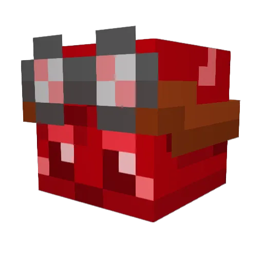 TherianThorpe Minecraft avatar head, 3D render