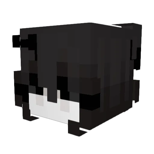 Theris1 Minecraft avatar head, 3D render