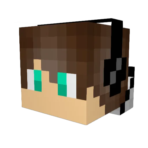 Thesammydude Minecraft avatar head, 3D render
