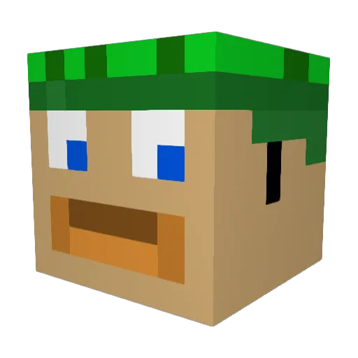 Theselmer123 Minecraft avatar head, 3D render
