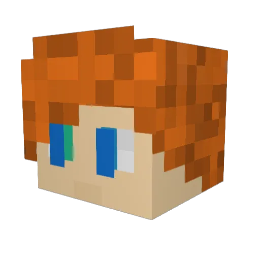 Theseus314 Minecraft avatar head, 3D render
